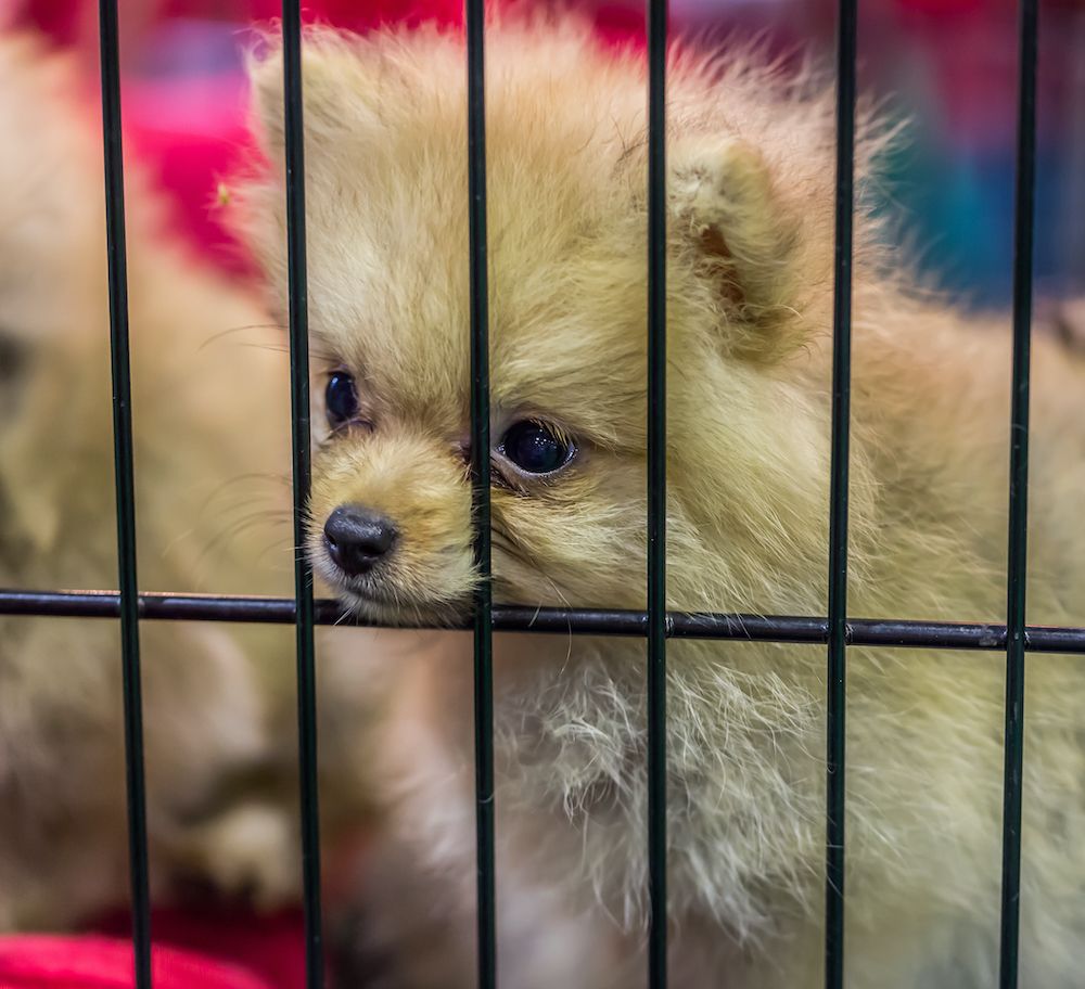 Editorial: October 1, 2021